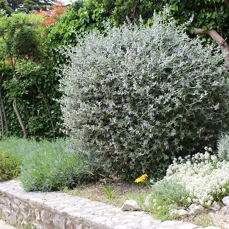 Nela And Vito Apartman