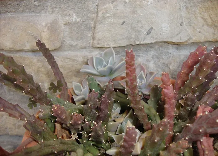 Nela And Vito Appartement *