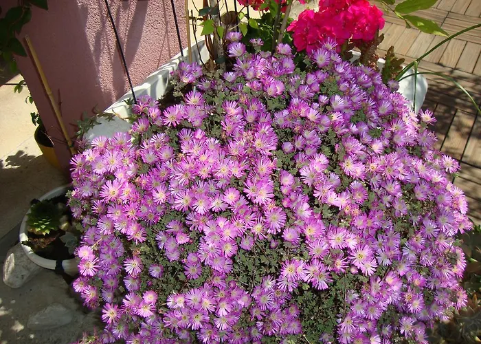 Nela And Vito Appartement Split