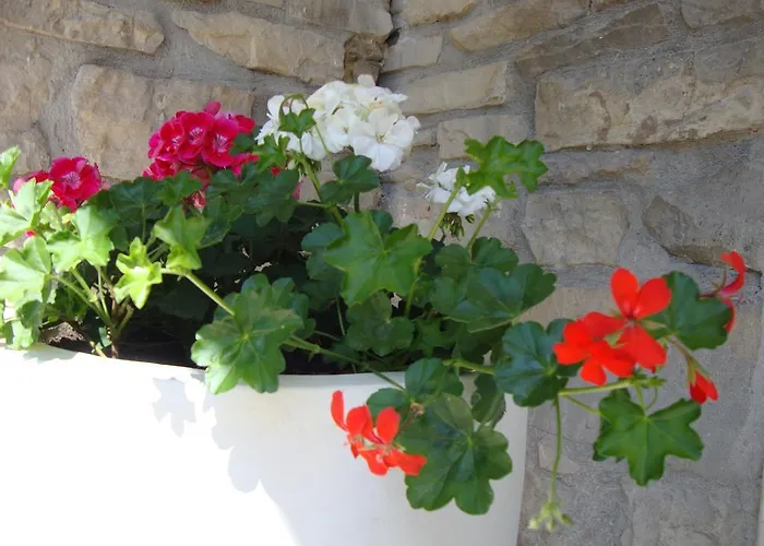 Nela And Vito Appartement