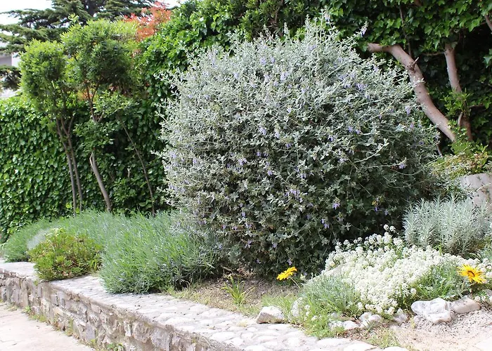 Nela And Vito Appartement