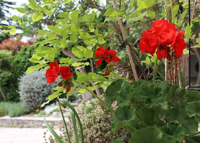 Nela And Vito Appartement *