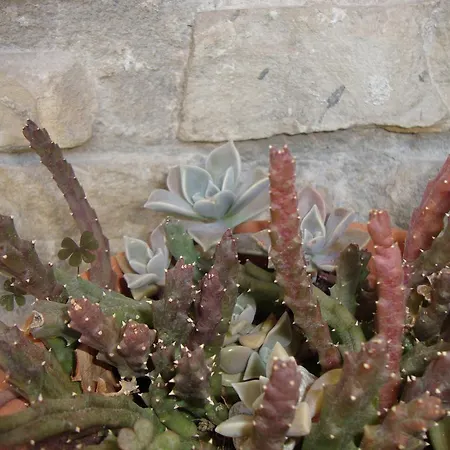 Nela And Vito Apartamento *