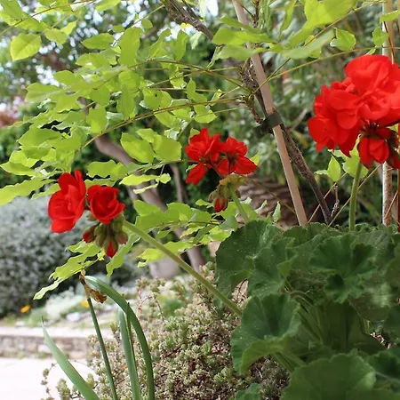 Nela And Vito Apartamento *